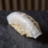 Sushi On showcases local fish in its nigiri, such as this garfish.