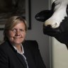 Fonterra follows Murray Goulburn in slashing price it pays farmers for milk