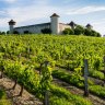 Bordeaux river cruise and wine tour: Raise a glass to France 