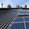 'Solar goldmine': Sydney tapping just 1 per cent of a stellar resource
