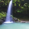 DOMINICA: Emerald pool deep in the rainforest.