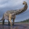 Australia's largest dinosaur discovered: How to join fossil digs with Eromanga Natural History Museum