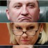 Barnaby Joyce, Malcolm Roberts and other 'citizenship seven' MPs receive verdict - live from the High Court