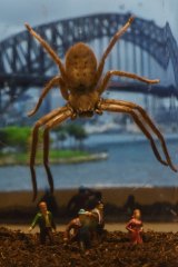 Civilians run for their lives from a huntsman spider – but the huge and hairy arachnid is actually terribly shy.