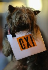 A dog joins supporters of the 'No' campaign.