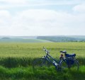 Cycling through Flanders Fields.