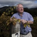 Bruce Tyrrell, managing director of Tyrrell's Wines, said the June long weekend brought record sales after months of closures.