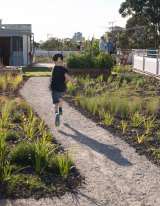 The rooftop garden at 38 Westbury Street, St Kilda East created green space from a heat-attracting no-go zone. 