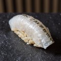 Sushi On showcases local fish in its nigiri, such as this garfish.
