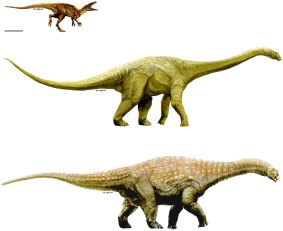 Artistic representations of the three dinosaur taxa described here. Australovenator (top); Wintonotitan (middle); Diamantinasaurus (bottom).
