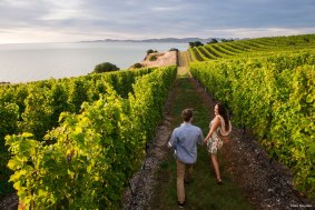 Marlborough is one of New Zealand's top wine regions.