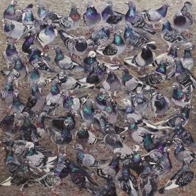 Lucy Culliton's Pigeons was inspired by her work in animal rescue.