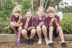 From left Year 3 students Rose Carpenter, Zarrah Ingle and Jessica Harnett, all 8, with year 4 student Grace Carpenter, 9, in the school garden as part of the new food and drink policy for ACT public schools.