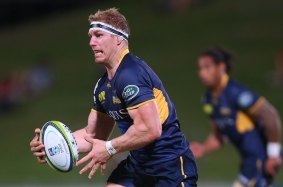Linchpin: David Pocock will be central to the Brumbies' hopes.