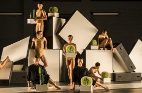 Sydney Dance Company's Cacti is coming to Canberra in May.