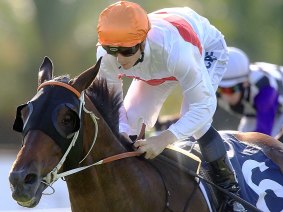 Fitness advantage: Messene has a strong chance in the Tramway Quality at Randwick.