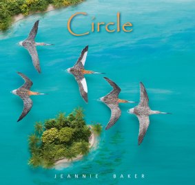 Jeannie Baker's latest book <i>Circle</i> highlights the plight of the migratory bar-tailed godwits.