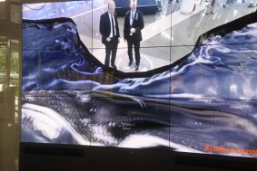 Canberra Airport's managing director Stephen Byron and Attorney-General Gordon Ramsay get up close and personal with a whale at the Saphire Coast. 