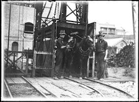 Miners and their horses at the Balmain Colliery near Sydney, from the 1930s.