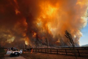 Some of Victoria's worst bushfires have been sparked by power lines