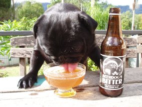 BeerDogs Bitter: chief taster Isaac Washington samples the beef flavoured brew.