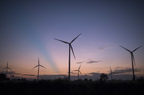 Wind turbines and solar technology will have the fastest rates of growth for energy take-up.