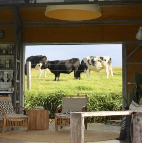 Marvel at the view of rolling lawns, lush pasture and a cow or three at The Shed.