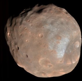 Phobos, the largest of Mars' moons, photographed from a distance of 6800 kilometres. The Stickney impact crater dominates one hemisphere of the moon. 