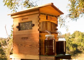 A western red cedar Flow Hive Classic, made for the American market. 