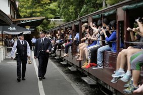 Puffing Billy is proving more popular than ever.