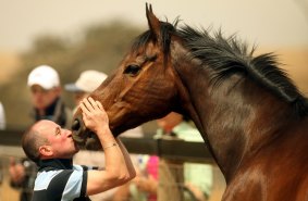 Retired racehorse Might and Power re-united with his jockey Jim Cassidy.