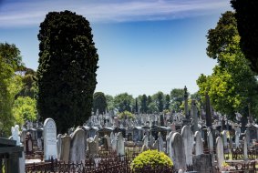 Melbourne General Cemetery covers a 43-hectare expanse of ground just 2km north of the city.