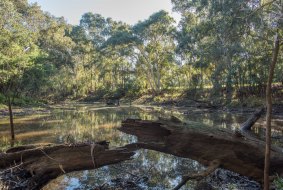 The billabong in Willsmere-Chandler Park in Kew is the last billabong left on the lower Yarra