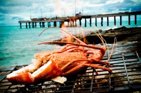 The Kilcunda Lobster Festival is an annual event.