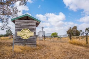 The Ballarat to Skipton Rail Trail is a track that starts near Wendouree before heading into forest that cloaks the tail-end of the Central Highlands.