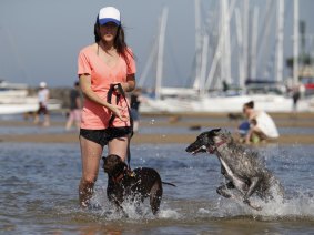 Georgia Versluys with her Bella at Brighton dog beach.