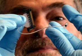 Cutting-edge science: Bionic eye researcher Professor Steven Prawer.