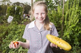 Year 4 student Zelia Kleidon, 8, with vegetables from the school garden as part of the new food and drink policy for ACT public schools.

Canberra Times photo by Matt Bedford.