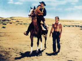 The Searchers is one of John Ford's best westerns.