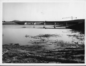 Engineers warned about the possibility of the lake becoming a 'windswept marsh'. This picture was taken in 1963 soon after the Molonglo River was dammed.