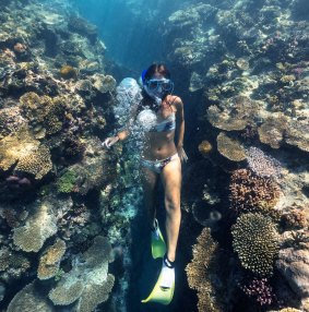 Snorkelling along the reef.
