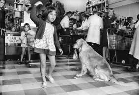 Girl and Dog in supermarket, Toorak Road, c.1970.