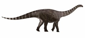 What the 3D Rhoetosaurus dinosaur replica could look like