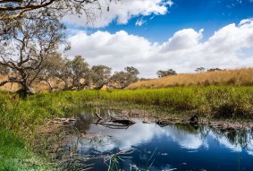 Mount Emu Creek in Skipton.