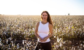 Helen Bender's submission to the Senate inquiry blames pollution from gas mining for the deaths of hundreds of pigs on her family's property. 