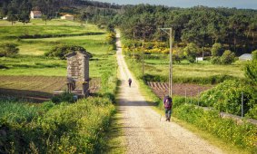 Stacey Alleaume hopes to walk the Camino de Santiago in Europe.