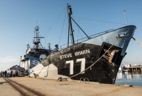 Sea Shepherd's ship Steve Irwin is currently in town, moored at Seaworks.