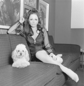Jackie Collins at home with her pet poodle in 1968.