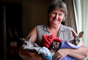 Julie Malherbe with a few of the orphaned joeys and injured animals she looks after. 