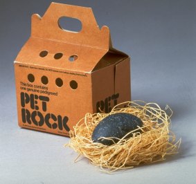 A Pet Rock, a fad from the mid-1970s, displayed with its own carrying case.